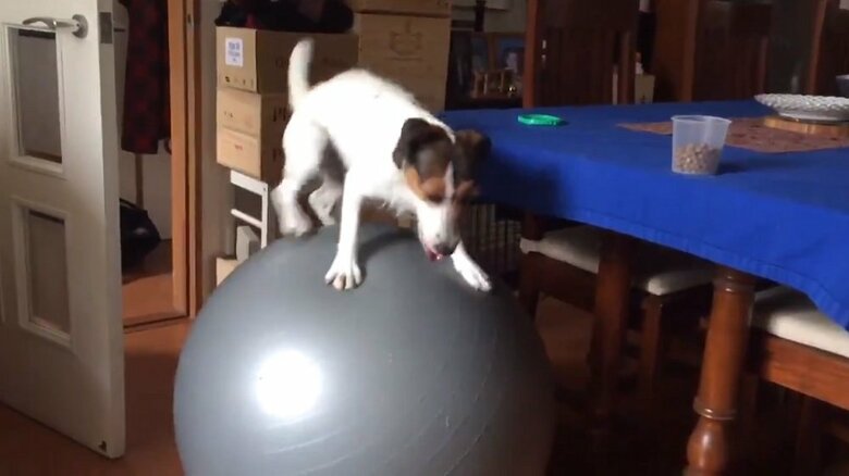 バランスボールの上で方向転換もできる