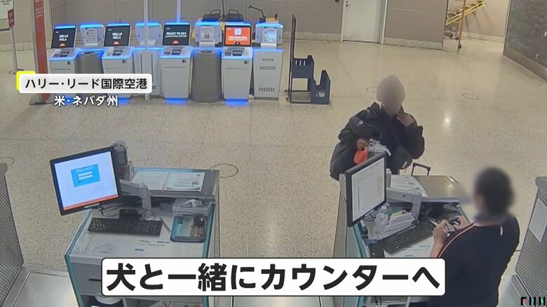 空港のカウンターにやってきた1匹の犬と飼い主