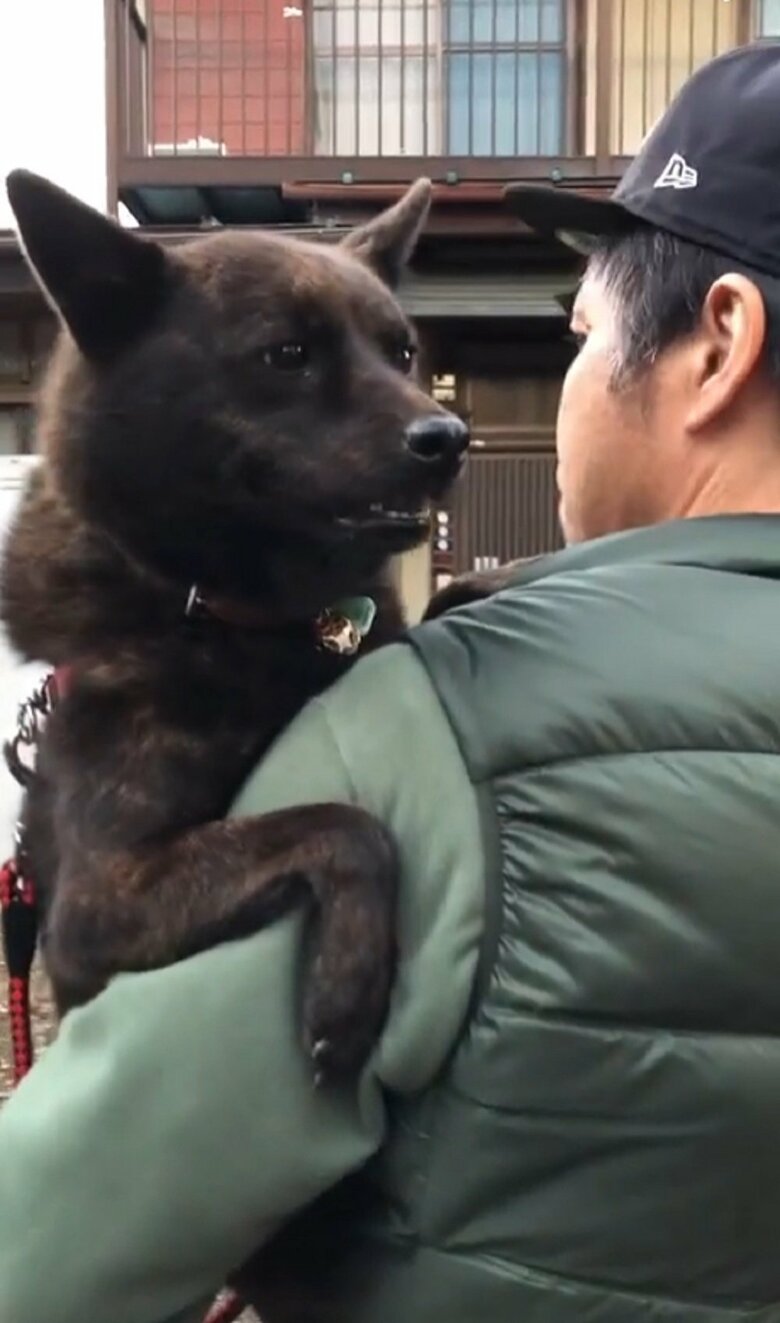 ドライブの帰りは抱っこしてもらわないとイヤなんだとか…