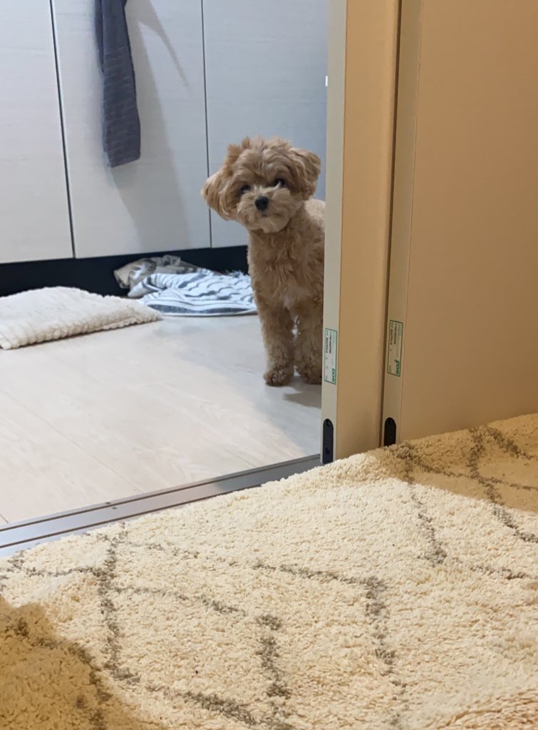 入りたそうにこちらを見つめている