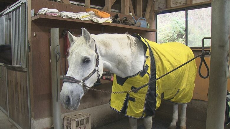 引退後を穏やかに過ごしている