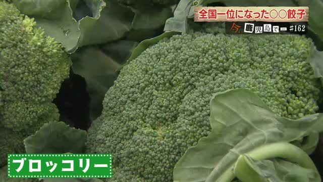 ブロッコリーがギョーザの種に！？