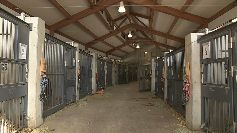 去年の夏に完成したばかりの宮内庁内の厩舎(今月8日)