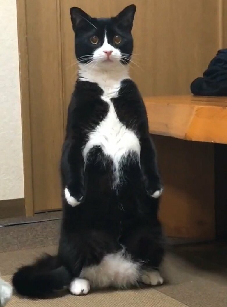 凛くんの立ち姿