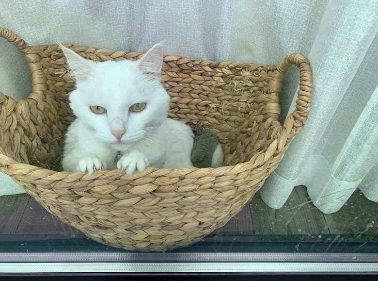 お気に入りのぬいぐるみと一緒に（提供：@hakusama0906）