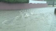千葉で再び大雨　住宅街で冠水、排水口から水があふれる場所も　都内の公園では倒木被害
