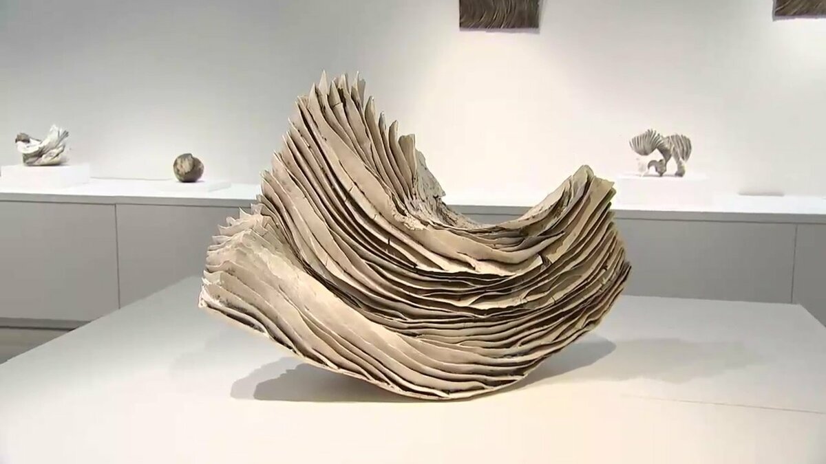 陶芸家・泉田之也さん新作展…約100点が並ぶ 岩手・野田村を拠点に国内