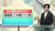 【天気／山形】天気ふりかえり＆秋の長雨を表す言葉はどれ？　中村友祐気象予報士の予報(1)