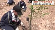 豊かな水資源を未来へ　児童がブナの苗木200本植樹　「大きく育っておいしい水を運んで」　秋田・美郷町
