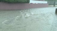 千葉で再び大雨　住宅街で冠水、排水口から水があふれる場所も　都内の公園では倒木被害