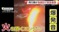 「ブーン」異様な音が機内に…爆発音とともにエンジンが火を噴く“バードストライク”の瞬間　アメリカ・ニューヨーク