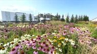 【”花のまち”が生んだ”人のつながり”】「以前は草がボーボーでひどかった…」花で住民が、地域が変わった！支援企業は「人が集まる場ができると日本は明るくなる」〈北海道・東神楽町〉