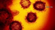 全国で5759人の感染確認 重症者は最多972人 東京は日曜最多1592人