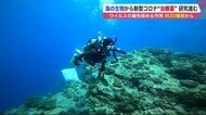 「海の生物」から新型コロナウイルス“治療薬”を 研究進む…函館から世界へ