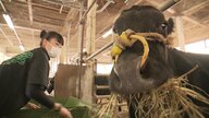飛騨牛の飼育に青春捧げる…「和牛甲子園」に情熱傾けた女子高生 春から東京の大学で故郷のため牛の研究へ