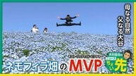 【中継】絶景！見頃迎えたネモフィラとパパになった大谷翔平選手のつながりは？「父親リスト」から見た「ニュースちょい先」