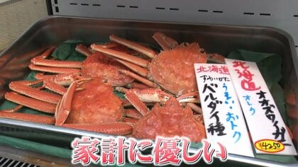 【激安】年末年始の“救世主”？ オオズワイガニが今年も大量発生　ズワイガニよりかなりお得な価格も…気になる見分け方は？