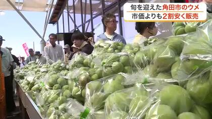 週末の宮城県内のイベント　障がいの有無にかかわらず楽しむフットサル大会　特産のウメを販売「梅まつり」