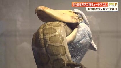 海洋堂のフィギュアで生き物の“スゴ技”再現　宮脇センム「フィギュアは生き生きしている」　高知・南国市で企画展