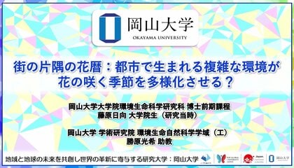 【岡山大学】街の片隅の花暦：都市で生まれる複雑な環境が花の咲く季節を多様化させる？