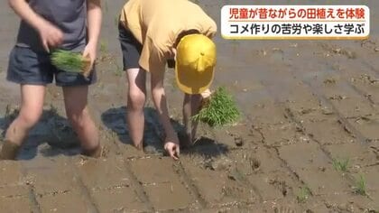 裸足で泥と格闘！富山市の小学生がコシヒカリの田植えに挑戦　9月には全校児童におにぎり振る舞う