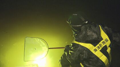 漁師「白いダイヤとは言いづらい…」減少傾向だったシラスウナギに“異変” 2025年は豊漁も価格は暴落