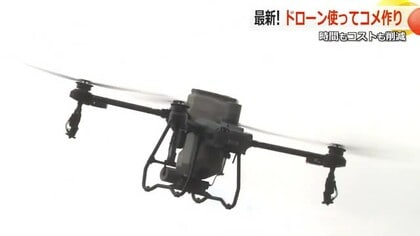 空からコメ作り　ドローン1台で種まきから肥料散布まで　大野市の農家がヤンマーと共同開発　【福井】