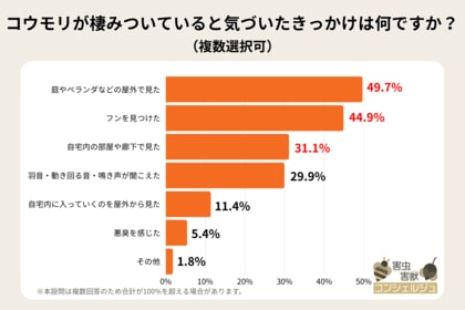 【リアル調査】コウモリを見かけたら、実は自宅に棲みついていた！被害の実態をリサーチ