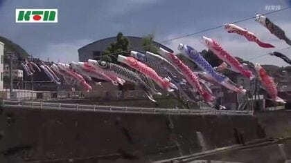 小学校前の川で泳ぐ「100匹の鯉のぼり」各家庭で役目を終えて集結！子供たちの小学校生活を見守る