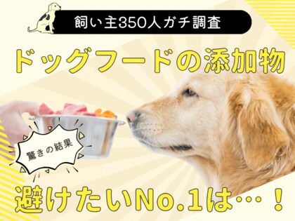 【飼い主350人調査】ドッグフードの「添加物」を気にする人は驚きの●割超え！愛犬の健康を守る「新常識」が定着