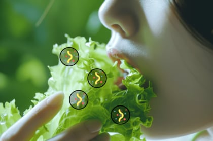 miRNA送達ナノ粒子「エクソソーム」分析により国産野菜パウダー「飲む粉野菜」から検出。「食事由来エクソソーム(食事由来miRNA)」の補給による健康管理に期待