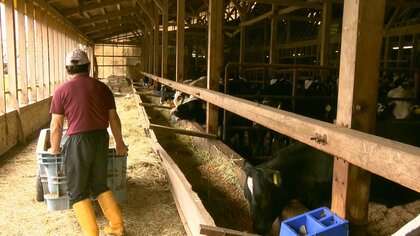 「これで“終わり”が始まった」飼料・光熱費高騰に後継者不足…かつてない苦境に直面する酪農家【島根発】