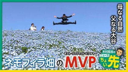 【中継】絶景！見頃迎えたネモフィラとパパになった大谷翔平選手のつながりは？「父親リスト」から見た「ニュースちょい先」