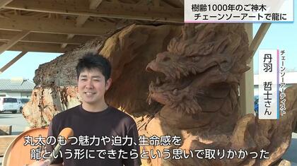 岡山を守り続けたご神木は宮崎で龍になった 倒木した樹齢1000年のスギ