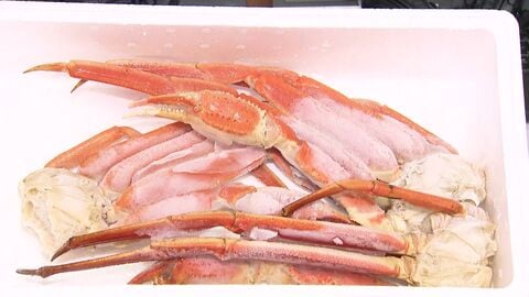 海産物送り付け“カニカニ詐欺”札幌市の会社役員ら男7人再逮捕「前回注文時に今回の注文も受けている」とウソ…女性3人から約40万円詐取…全国で被害額9億円以上か〈北海道札幌市〉