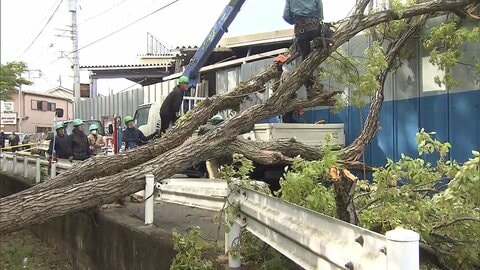 “春の嵐”で列島大荒れ　東京・府中市や千葉市で“倒木”相次ぐ　突然のどしゃ降りで“4月観測史上最大”降水も