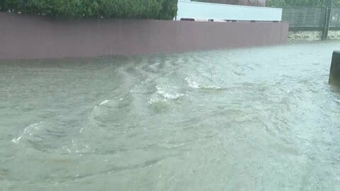 千葉で再び大雨　住宅街で冠水、排水口から水があふれる場所も　都内の公園では倒木被害