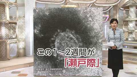 新型コロナ この１ ２週間が 瀬戸際 感染拡大防ぐために 飲み会 や 検査 はどうすべき