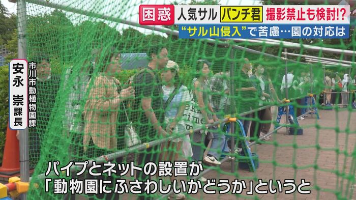 ネットが張られた