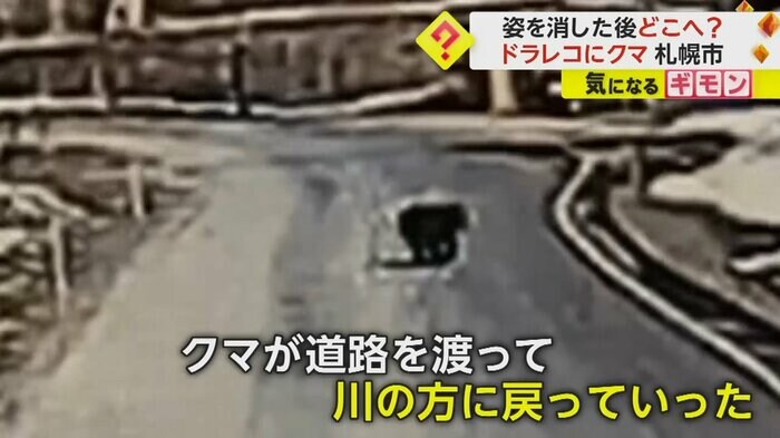 (画像:視聴者撮影)