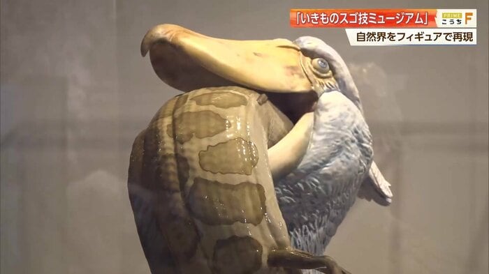 ハイギョ（肺魚）を丸のみにしているハシビロコウのフィギュア