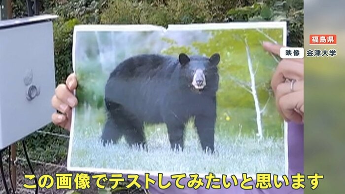 クマの写真をカメラの前にかざす