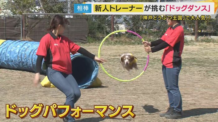 人気の『ドッグパフォーマンス』