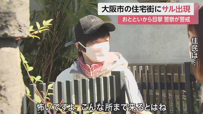 自宅の屋根にサルが現れた住民