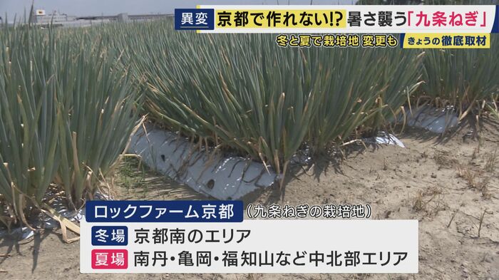栽培地を分散させるなど工夫も