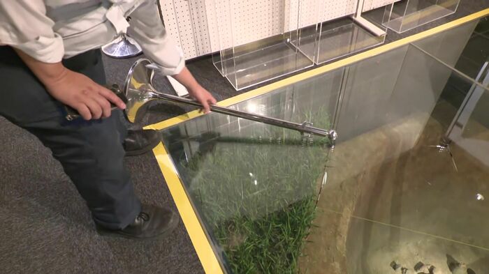 ポールが倒れガラスにヒビが入った