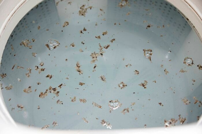 洗濯槽にはカビが好む条件がそろっている（画像はイメージ）
