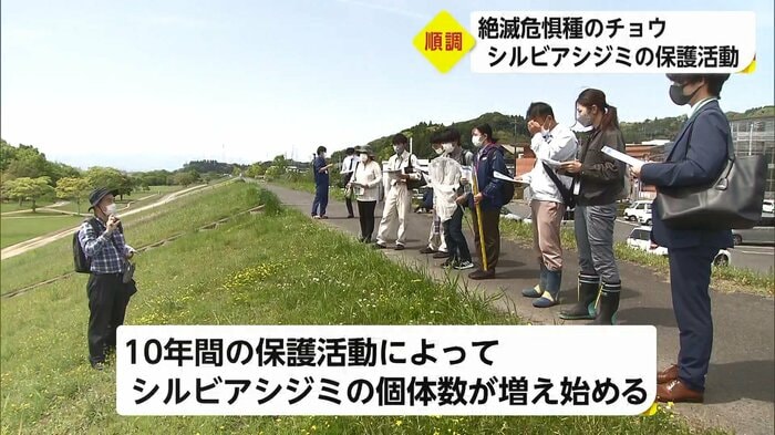 シルビアシジミの保護活動を行う市民グループら