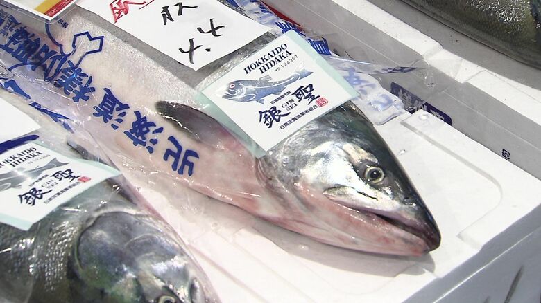 秋の味覚“秋サケ”初競りで1キロあたり8万8888円の最高値　1匹あたりなんと39万円　来遊量は約1700万匹と平成以降で過去最少の予測　高値傾向は続きそう　北海道｜FNNプライムオンライン