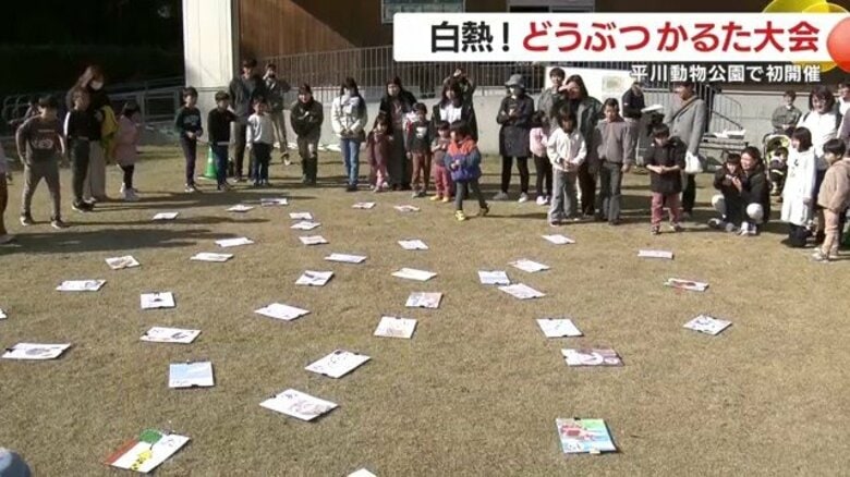 「子どもも大人も本気で走る！」動物園で初開催　“どうぶつかるた大会”が教える生きものの不思議｜FNNプライムオンライン